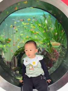 幻灯片-Hayashi Ei blog